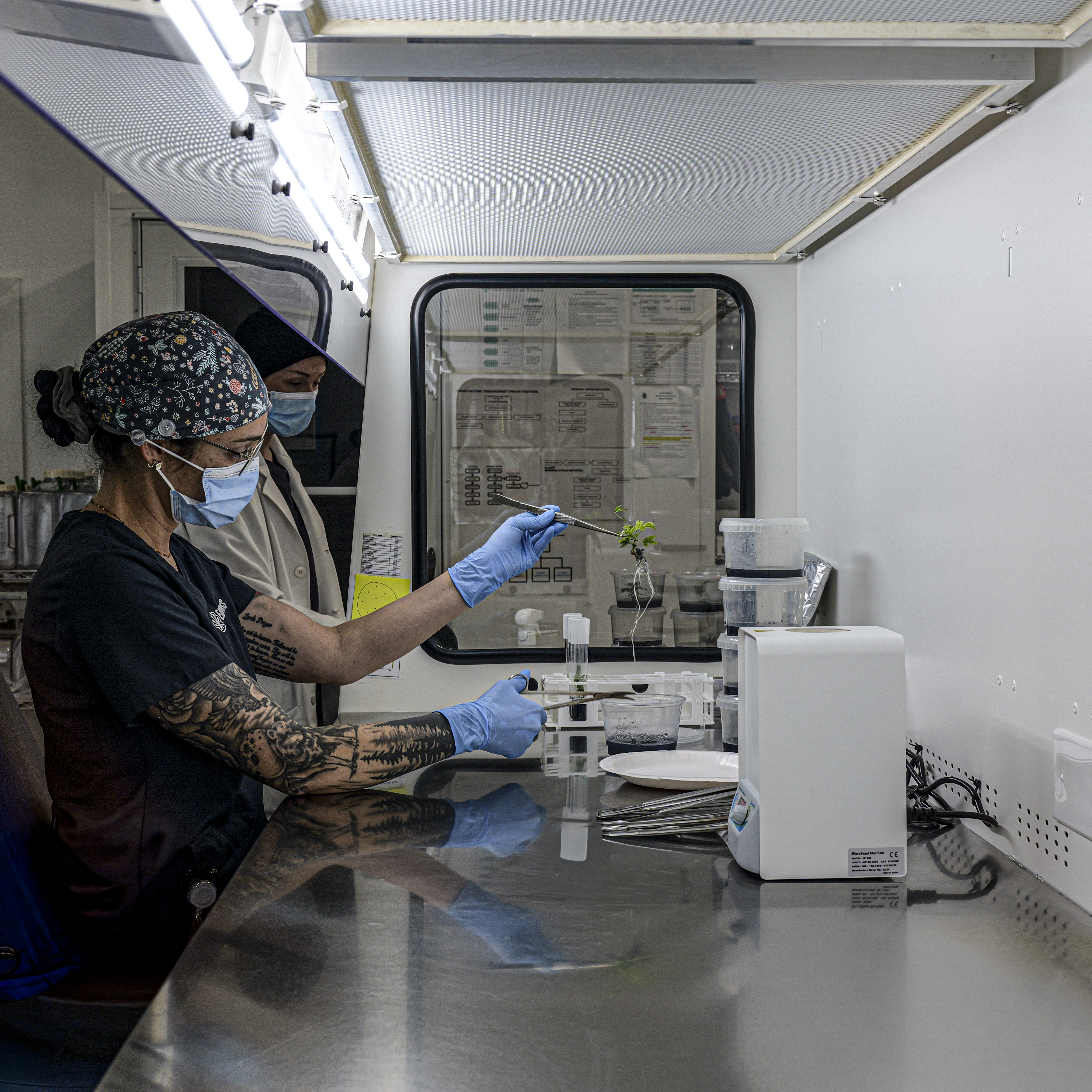 Inside the Endless Biotech facility
