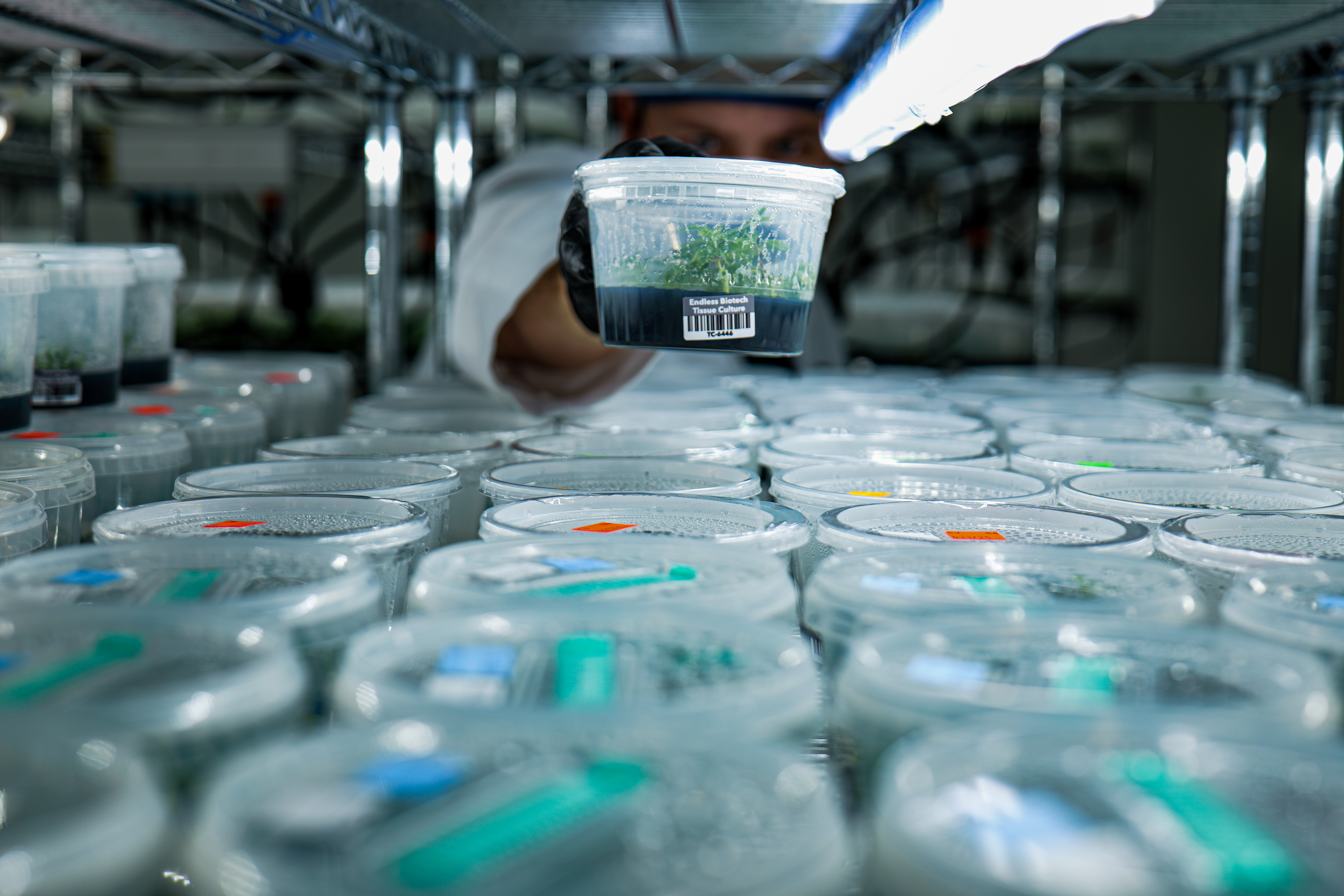 Inside the Endless Biotech facility