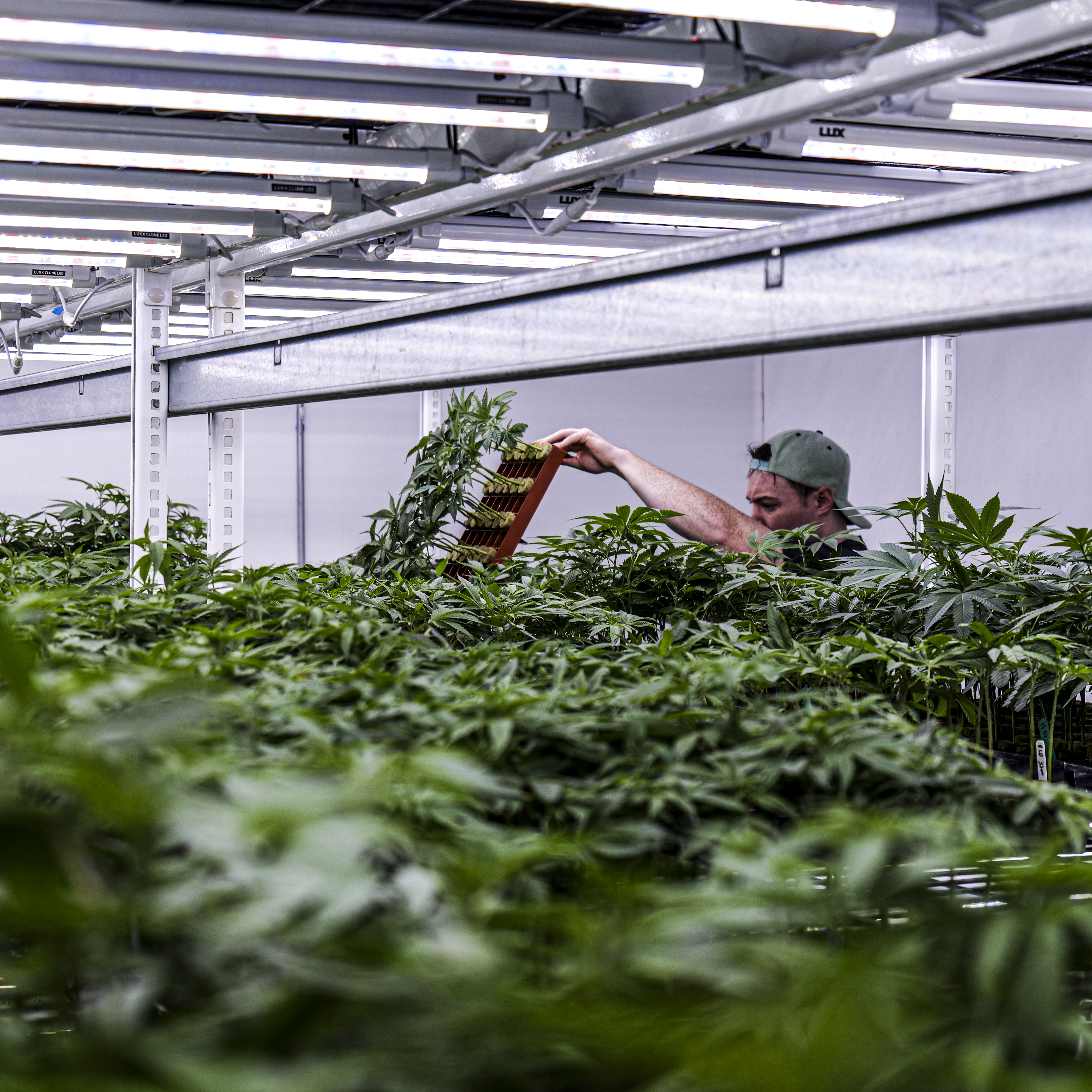 Inside the Endless Biotech facility