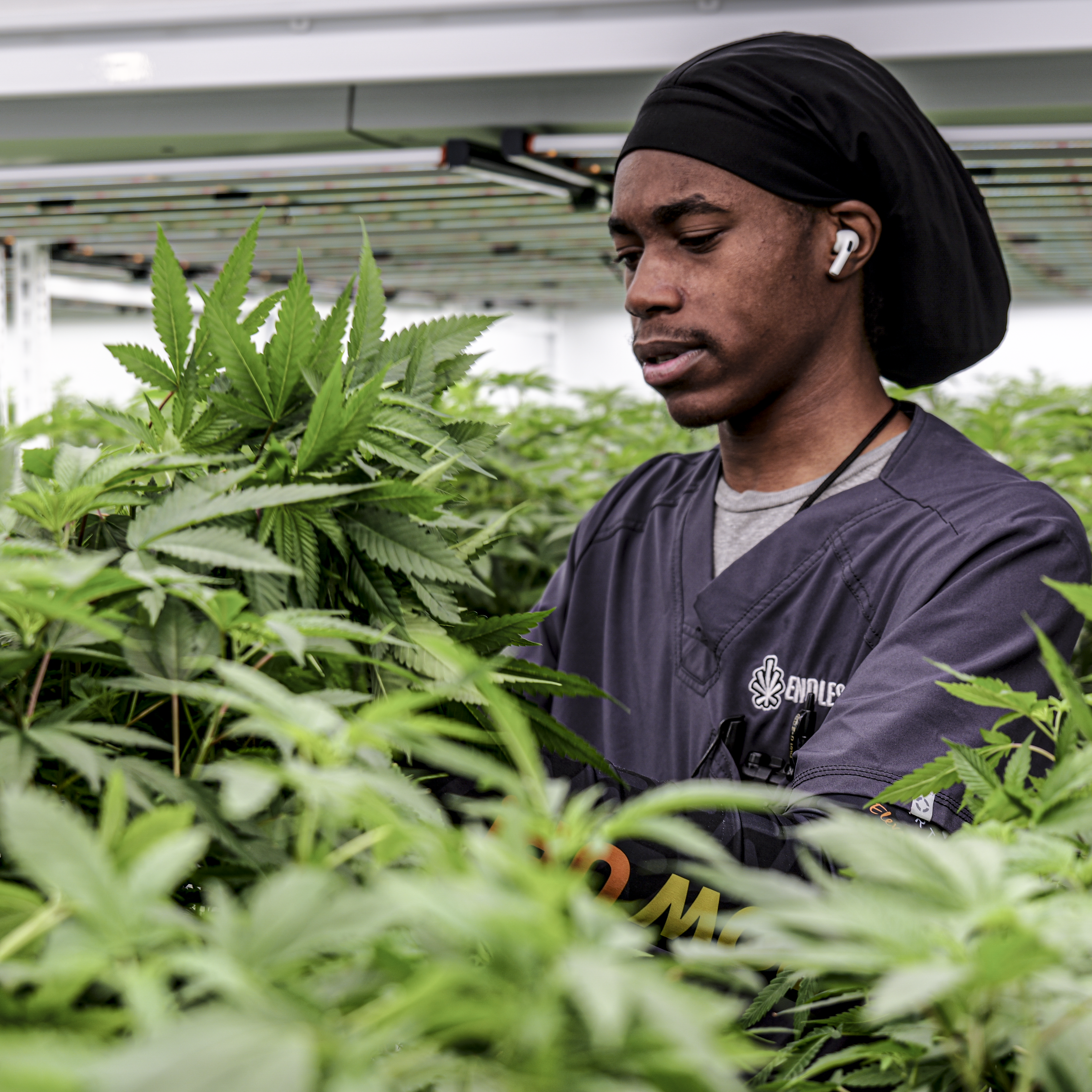 Inside the Endless Biotech facility